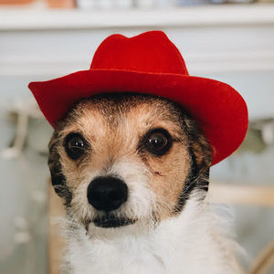 Meet your Posher, Carly